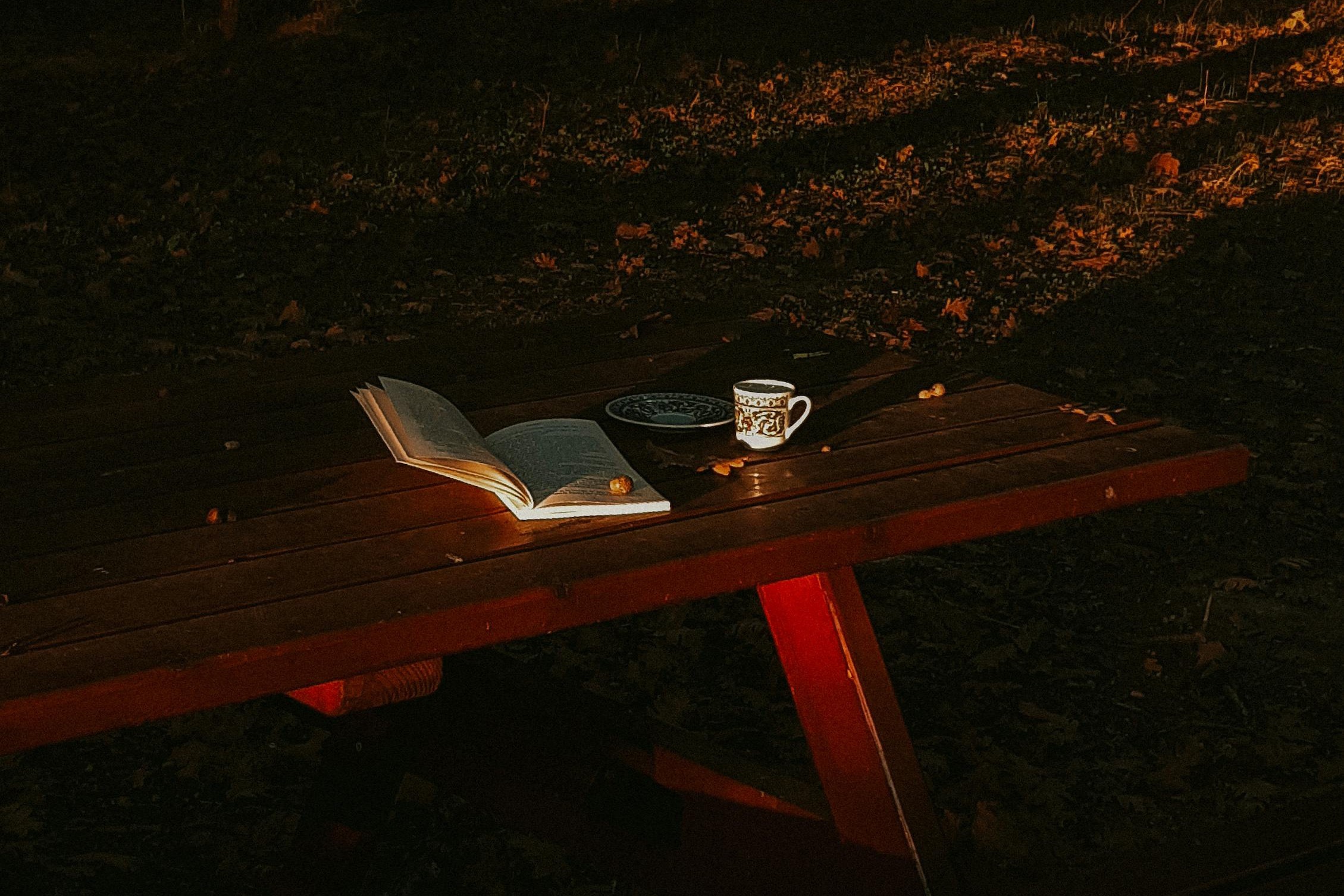 Book and tea on a picnic table