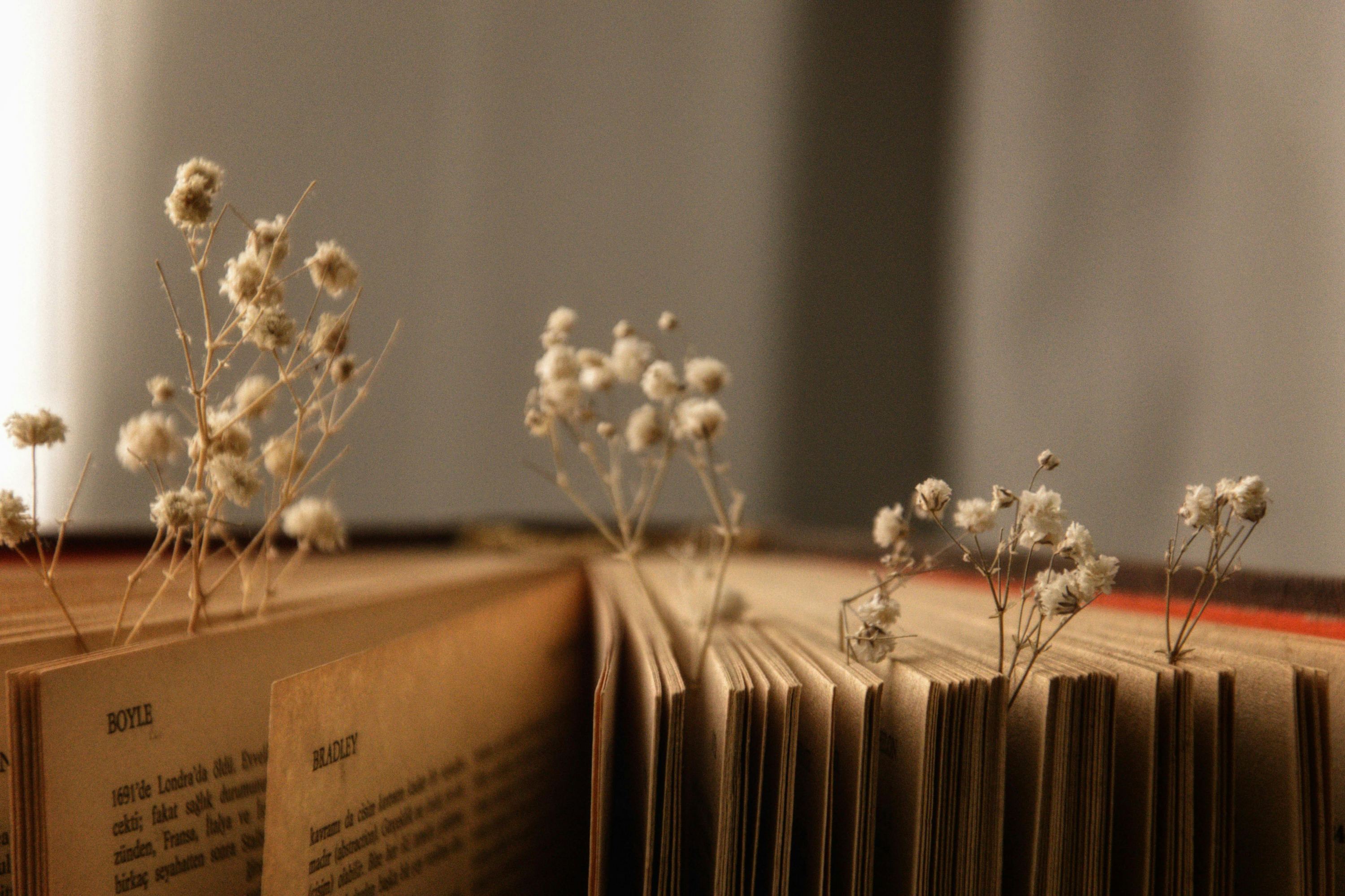 Dried flowers placed between old books