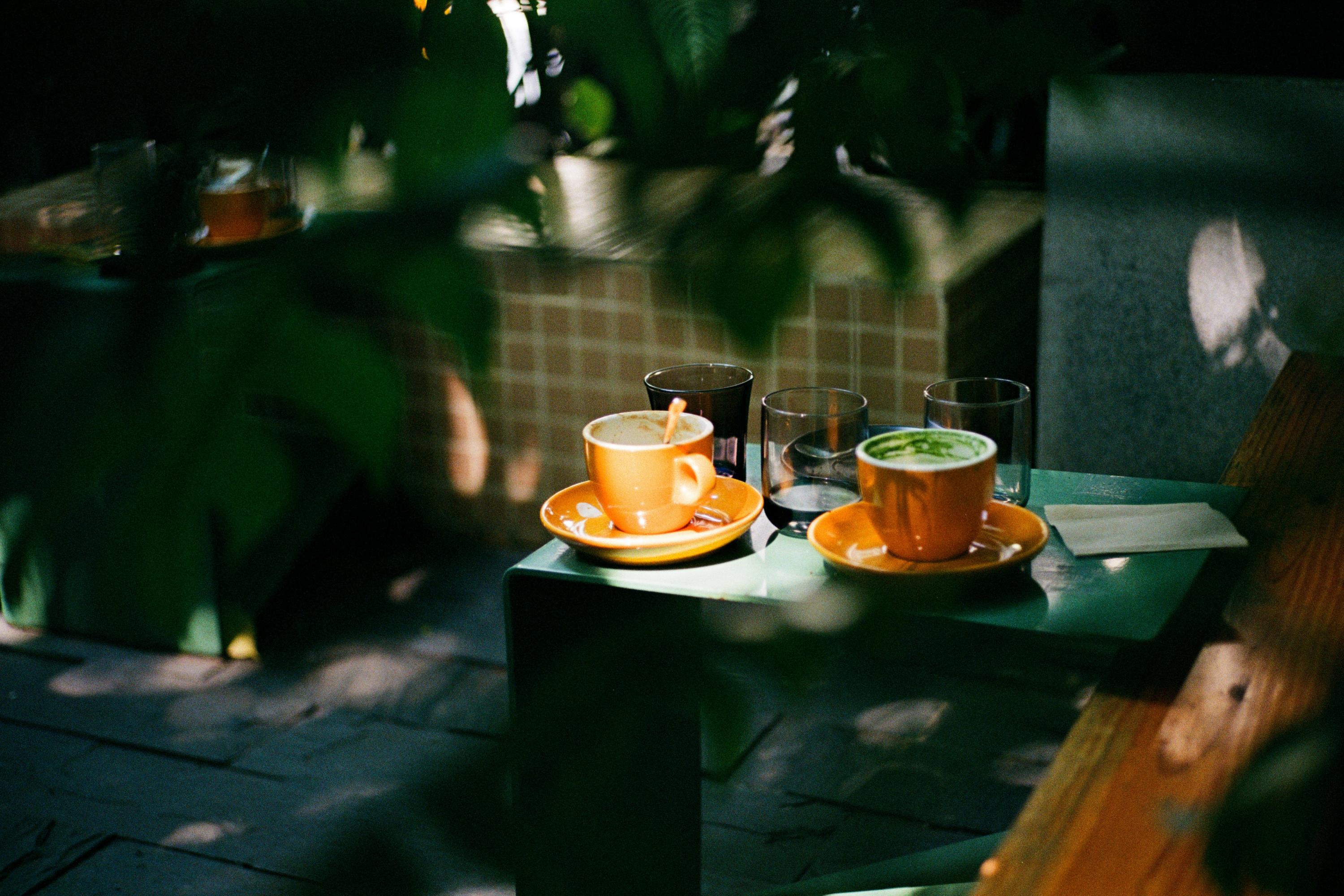 Cafe table with orange cups under leaves