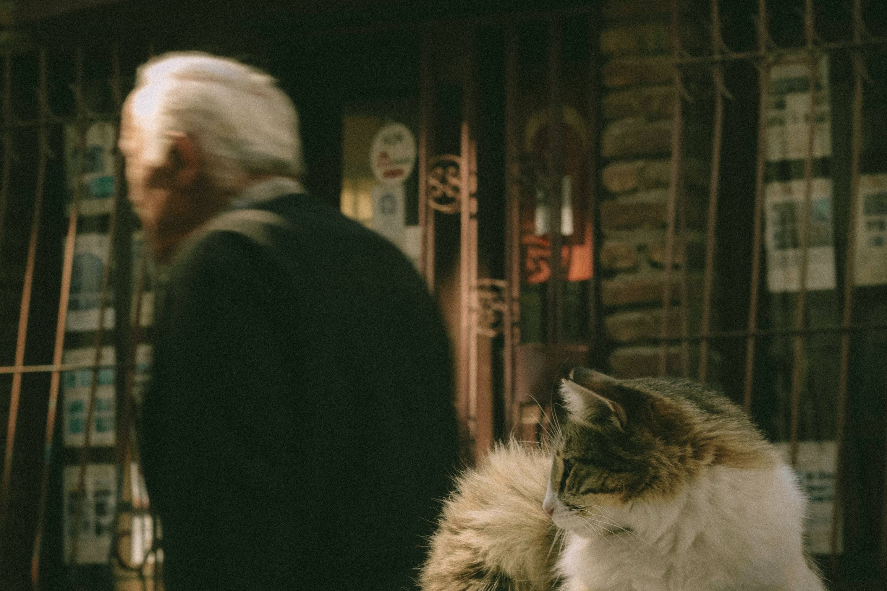 Street companion scene